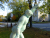 Up and Awaaaayyy! 023.jpg
